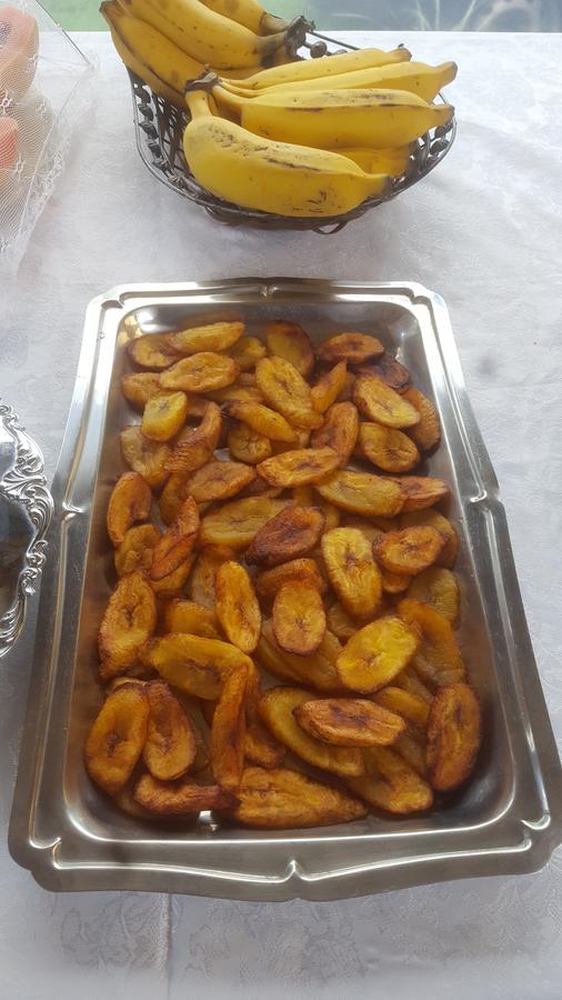 Casa Da Maisa بورتو سيغورو المظهر الخارجي الصورة